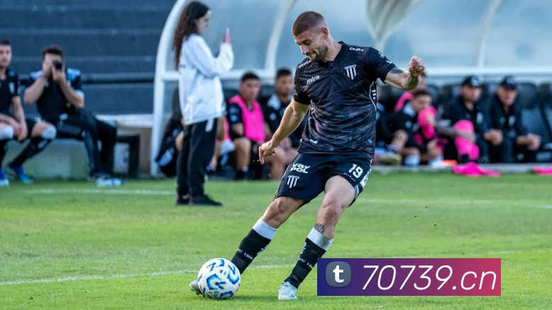 星空手机在线登录平台生态图